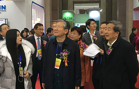 EXHIBITION PICTURES
